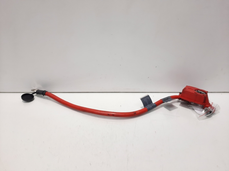 Borna baterie (+) cu capsa, cod 9217035-01, Bmw 7 (F01, F02) (idi:607768)