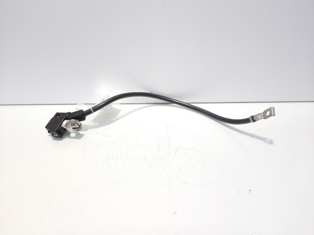 Borna baterie (-) cu capsa, cod 925308201, Bmw 5 Gran Turismo (GT) (idi:549669)