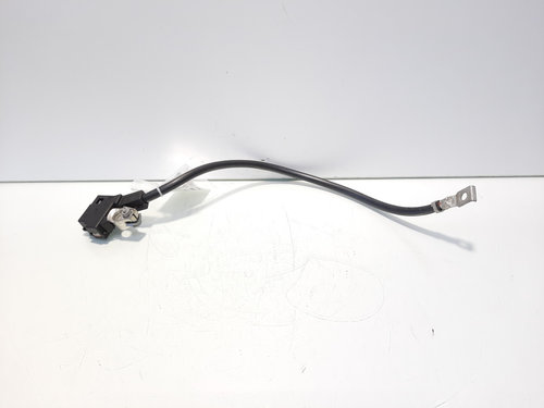 Borna baterie (-) cu capsa, cod 925308201, Bmw 5 Gran Turismo (GT) (idi:549669)