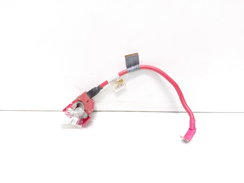 Borna baterie (+) cu capsa, cod 9259425-02, Bmw 3 (F30) (id:696388)