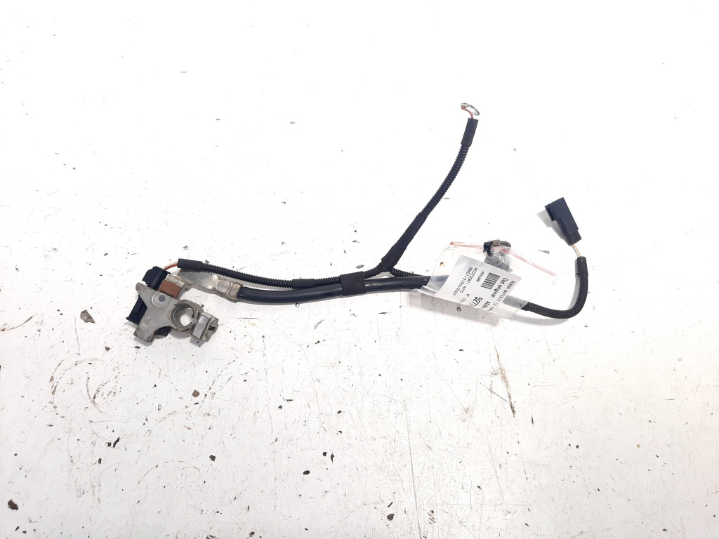 Borna baterie cu capsa, cod AG9N-10C679-DC, Jaguar XF (X250) (id:527785)