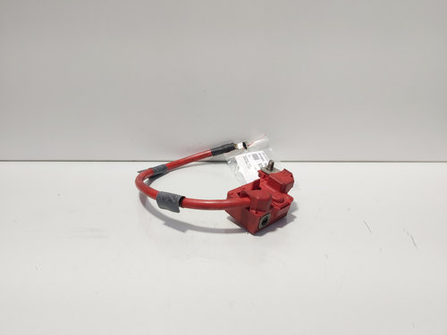 Borna baterie (+) cu capsa si senzor, cod 6982227-02, Bmw 3 Touring (E91) (idi:674610)