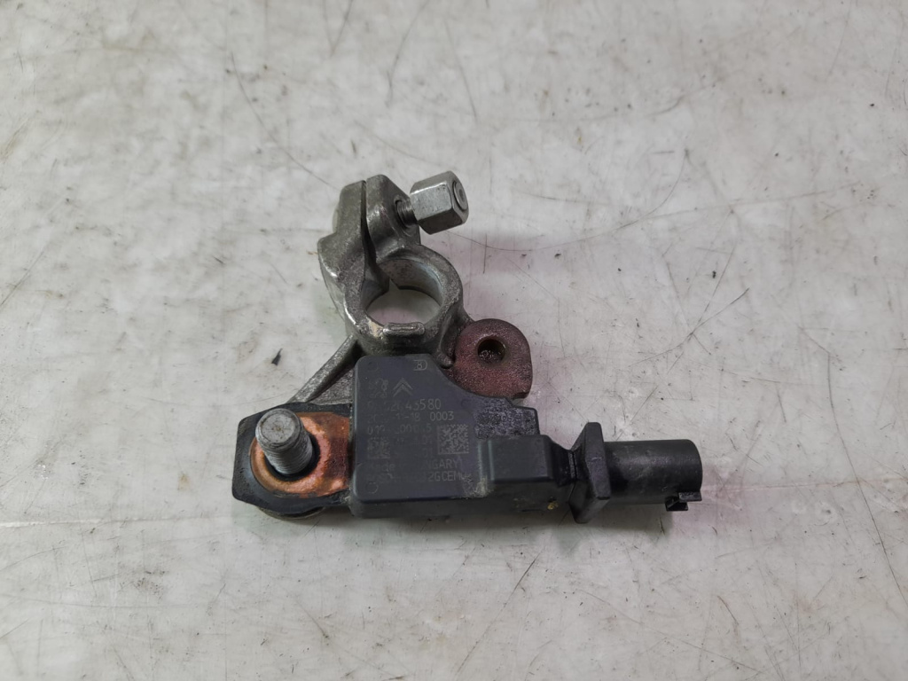 Borna baterie minus 9802043580 Peugeot 508 [2010 - 2014]