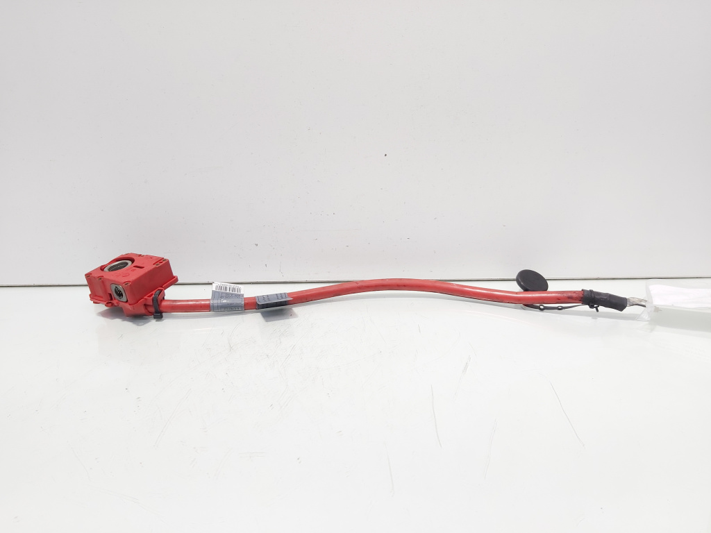 Borna baterie plus cu capsa, cod 9217035-01, Bmw 5 Gran Turismo (GT) (id:701172)