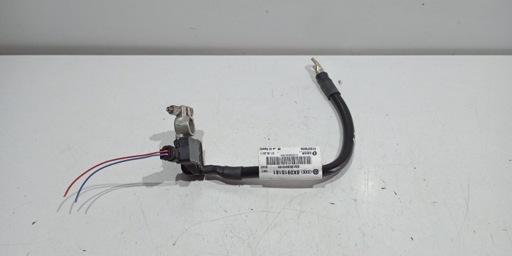 Borna minus baterie 8X0915181 Audi A6 4G/C7 [2010 - 2014]