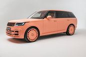 Brabus 600 Peetch