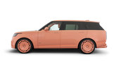 Brabus 600 Peetch