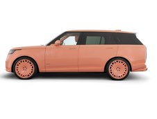 Brabus 600 Peetch