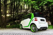 Brabus Smart ForTwo by Vilner