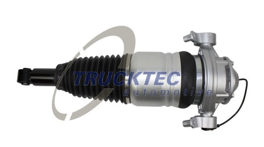 Brat arc pneumatic Axa spate dreapta (0730187 TRUCKTEC) AUDI,PORSCHE,VW