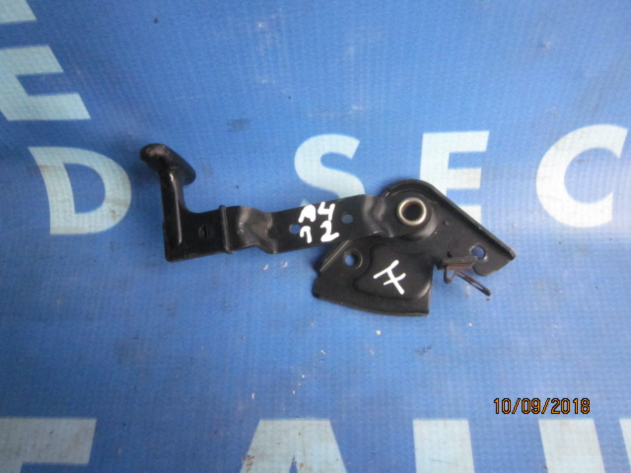 Broasca capota Audi A4