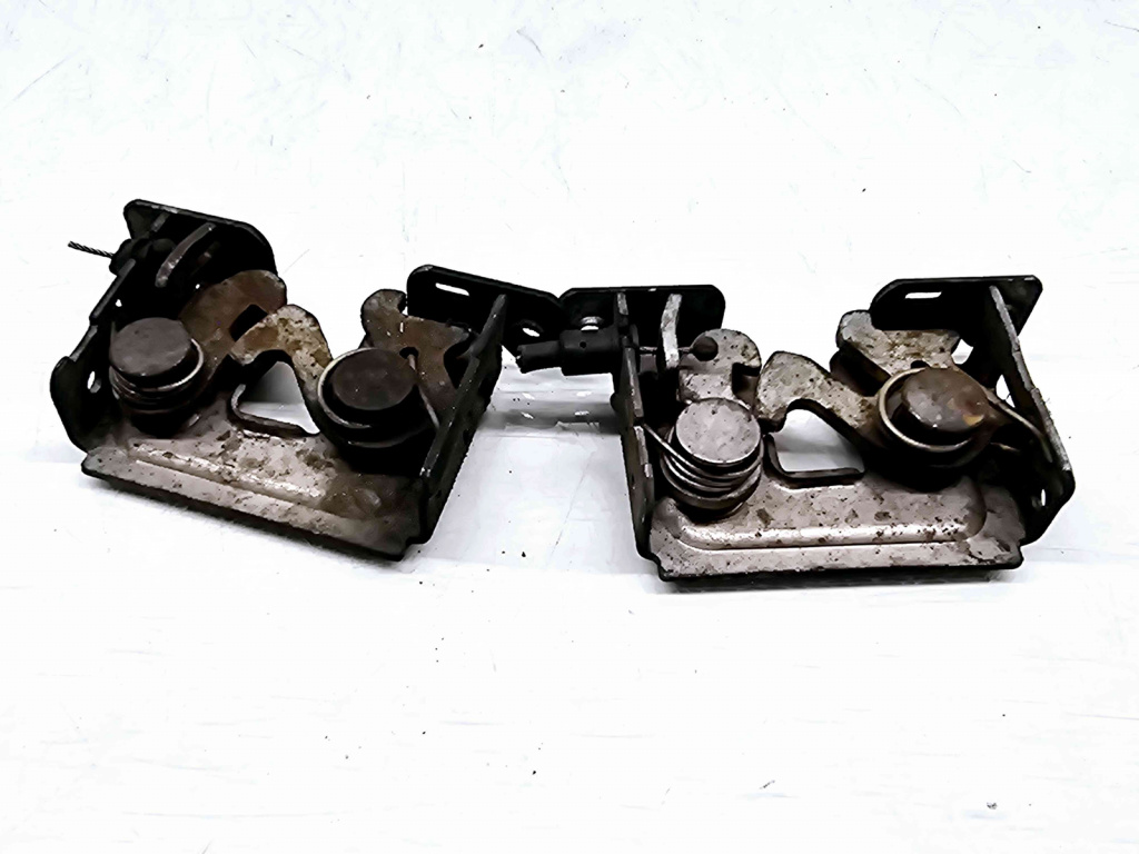 Broasca capota Bmw 3 Coupe (E92) [Fabr 2005-2011] 7115229