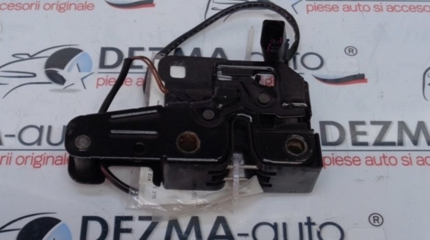 Broasca capota fata, Audi A6 (4F2, C6) 2004-2011 (id:16267)