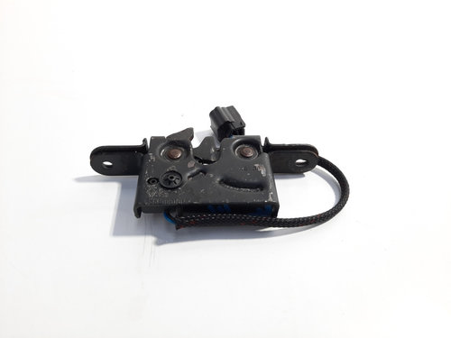Broasca capota fata, cod 656010010P, Renault Megane 3 Grandtour, id:236821