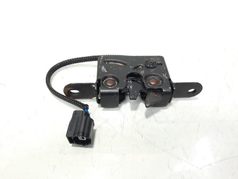 Broasca capota fata, cod 656010010P, Renault Megane 3 Coupe (idi:236821)