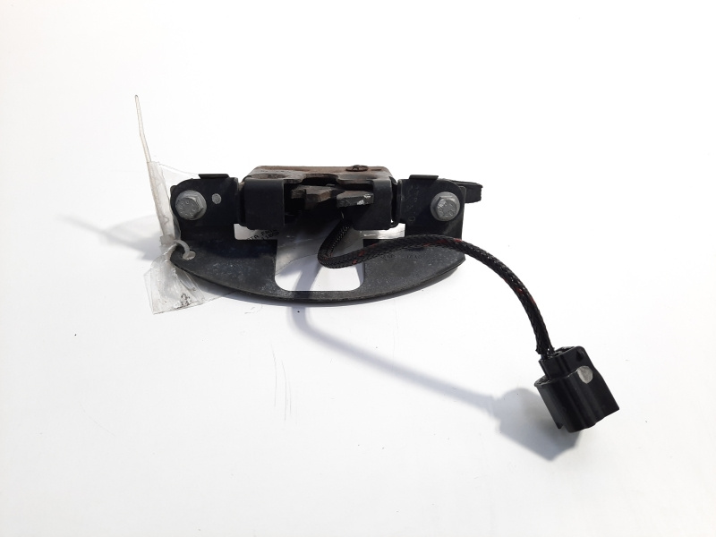 Broasca capota fata, cod 656010010R, Renault Scenic 3, id:380137