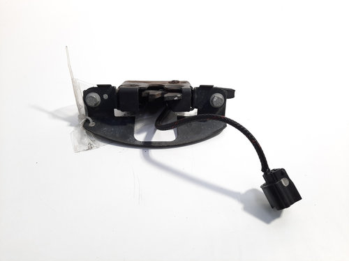 Broasca capota fata, cod 656010010R, Renault Scenic 3, id:380137