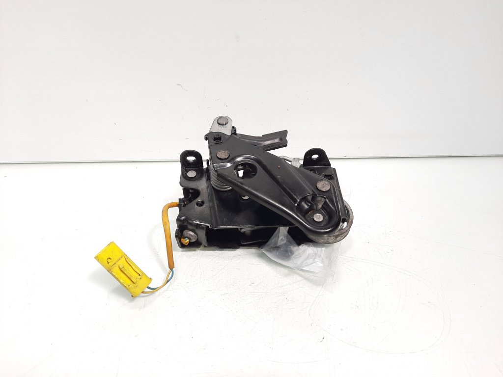 Broasca capota fata dreapta, cod 7184442, Bmw 5 Touring (F11) (idi:549618)