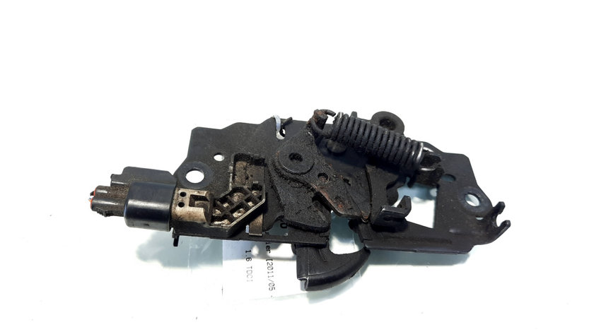 Broasca capota fata, Ford C-Max 2 (idi:546756)