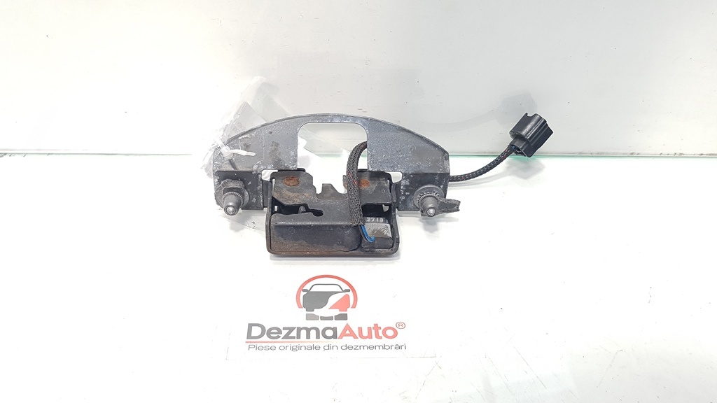 Broasca capota fata, Renault Scenic 3, cod 656010010R (id:380137)