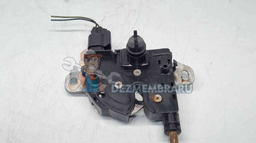 Broasca capota Ford C-Max 1 [Fabr 2007-2010] OEM