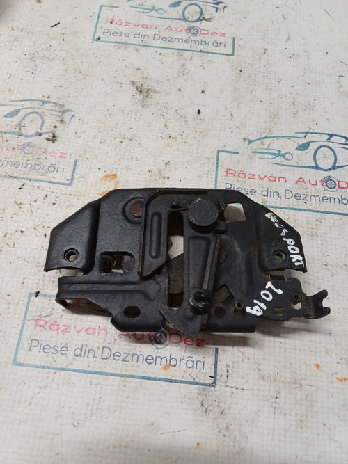 Broasca capota Ford Ecosport 1.0 Benzina 2019, -