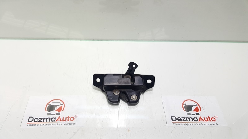 Broasca haion, Citroen Berlingo 1 (id:159096)