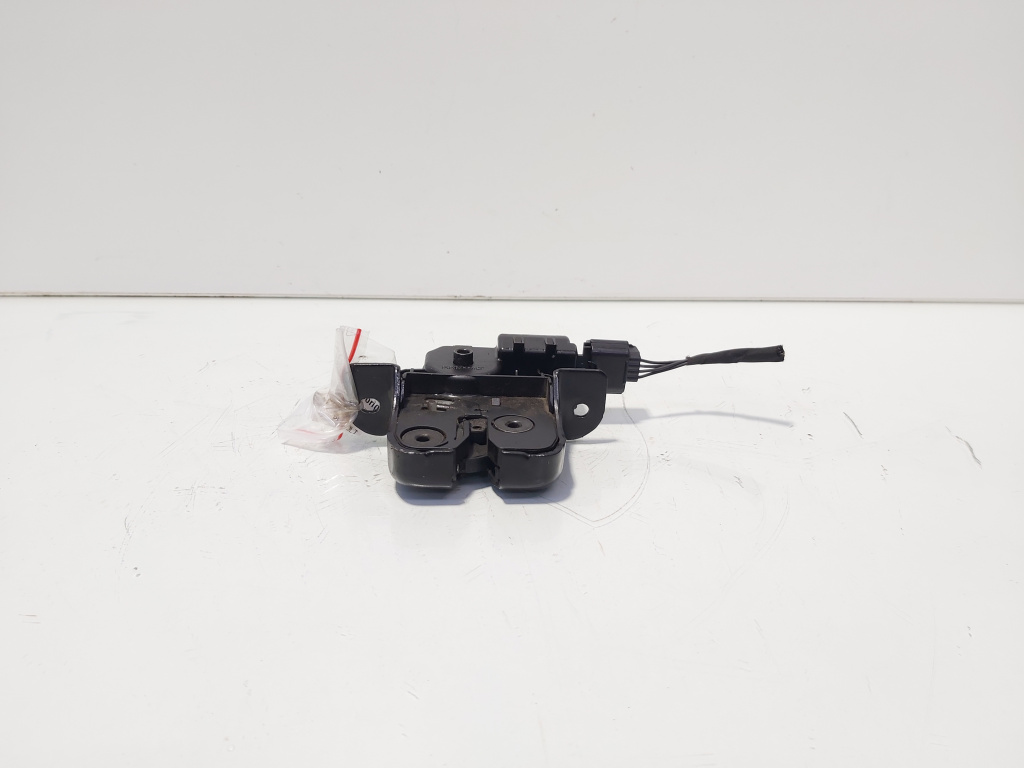 Broasca haion, cod 846300003R, Renault Megane 3 Coupe (id:679241)