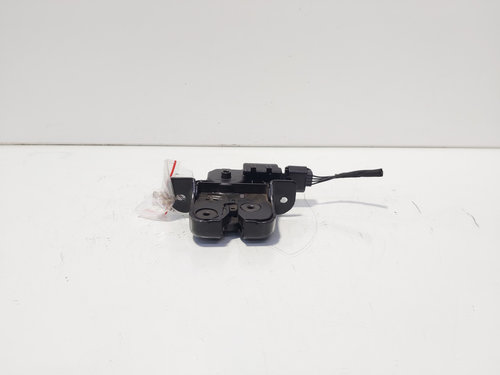 Broasca haion, cod 846300003R, Renault Megane 3 Coupe (id:679241)
