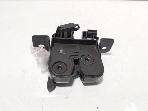 Broasca haion, cod 905037373R, Dacia Sandero 2 Stepway (idi:698750)