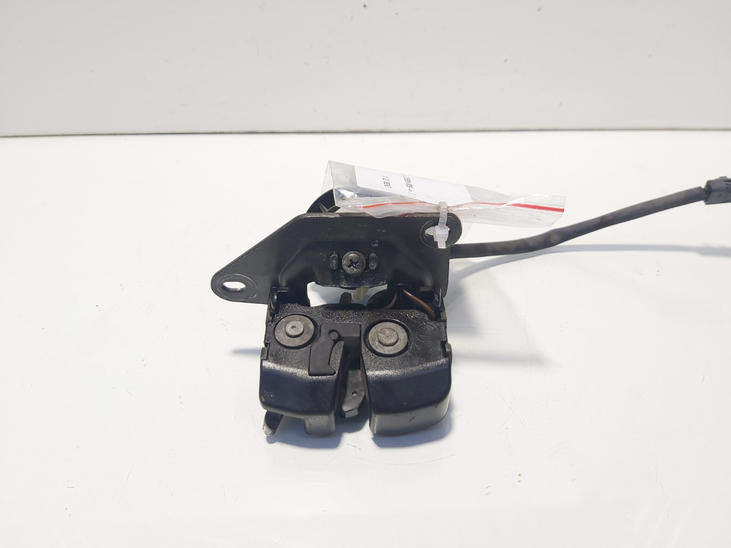 Broasca haion, Fiat Punto (188) (id:625931)
