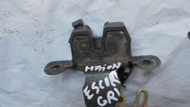 BROASCA HAION FORD ESCORT FAB. 1990 - 2000 ⭐⭐...