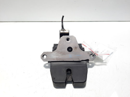 Broasca haion, Ford Focus 3 Turnier (id:594142)