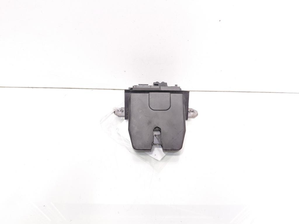 Broasca haion, Ford Focus 3 Turnier (id:696298)