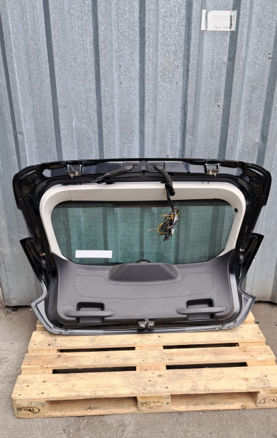 Broasca haion Ford Focus ST