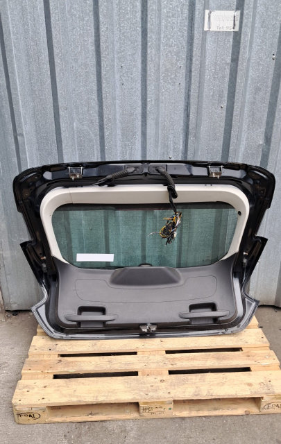 Broasca haion Ford Focus ST