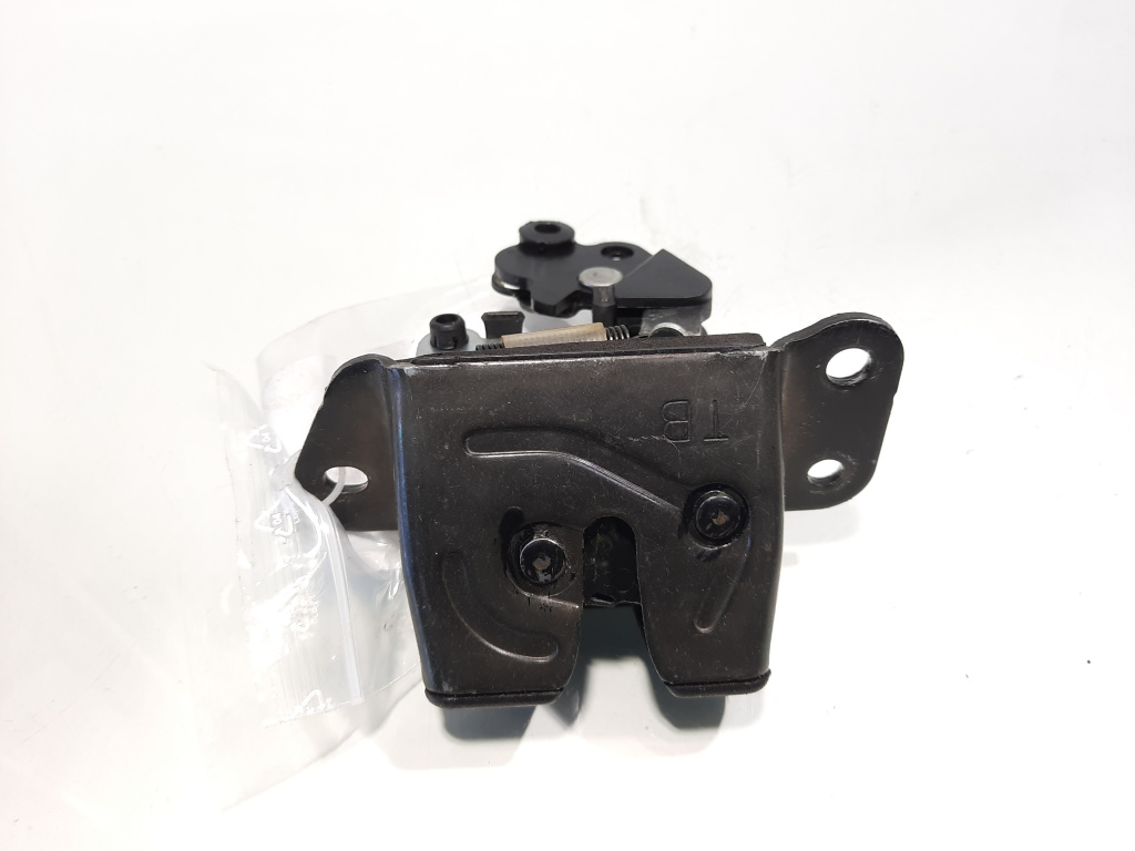 Broasca haion, Hyundai Getz (TB) (id:537747)
