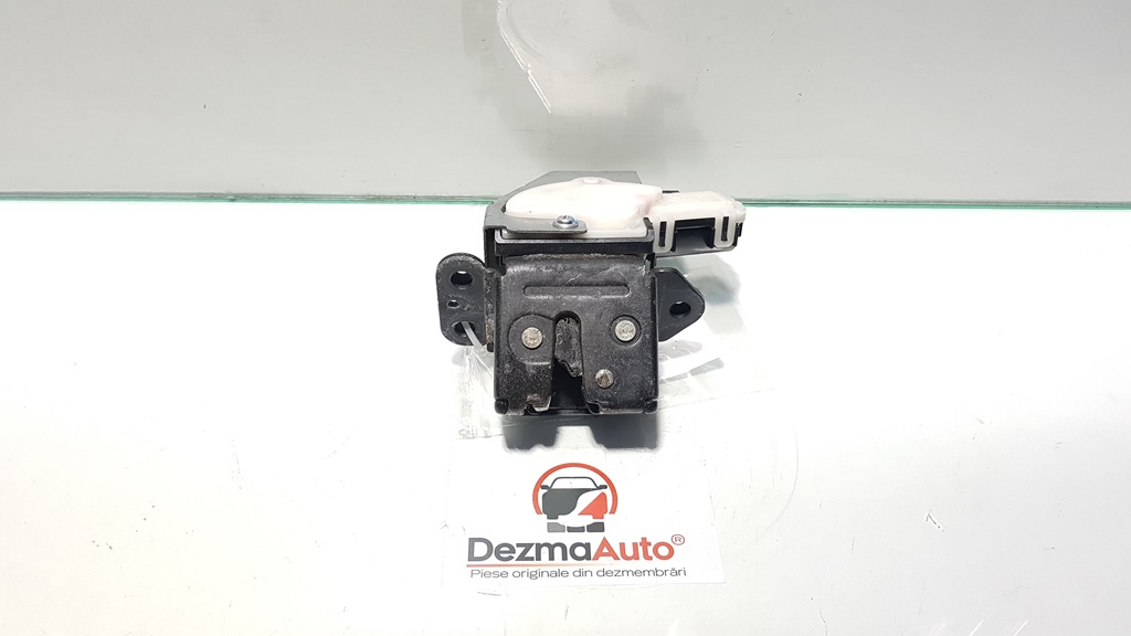 Broasca haion, Mazda 6 Combi (GH) (id:393052)