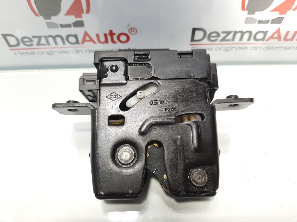 Broasca haion, Renault Vel Satis [Fabr 2001-2009] 8200257615 (id:426996)