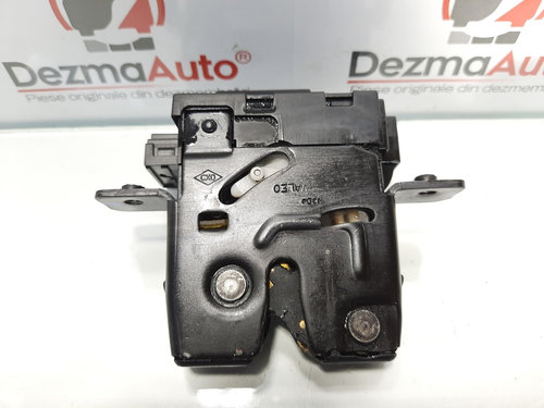 Broasca haion, Renault Vel Satis [Fabr 2001-2009] 8200257615 (id:426996)