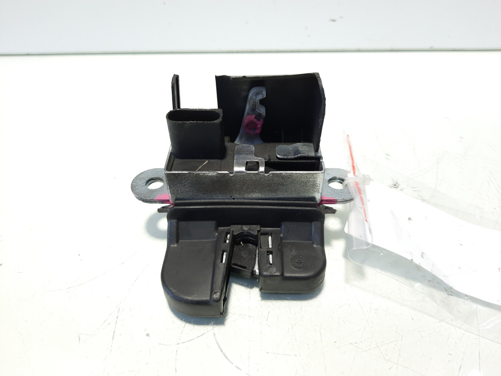 Broasca haion, Vw Passat Variant (365) (id:512639)
