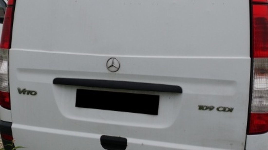 Broasca usa dreapta fata Mercedes VITO 2005 duba 2.2
