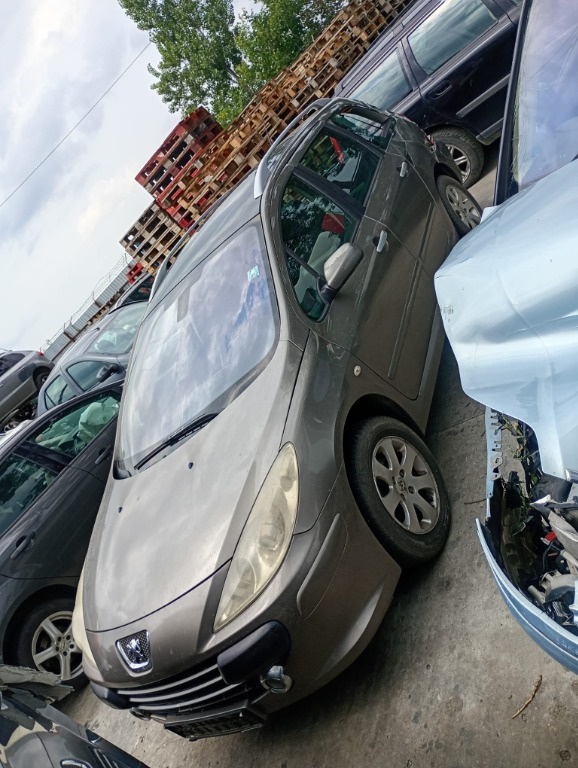 Broasca usa dreapta spate Peugeot 307 2007 break 1.6 9HZ