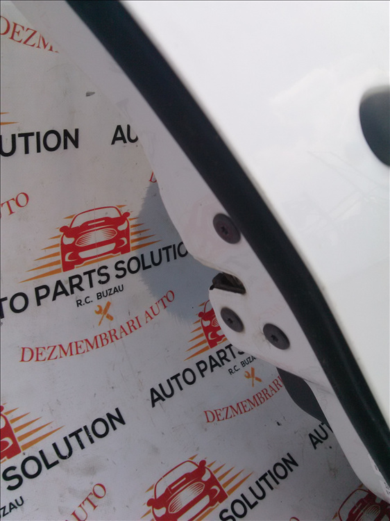 Broasca usa dreapta spate RENAULT MEGANE 2