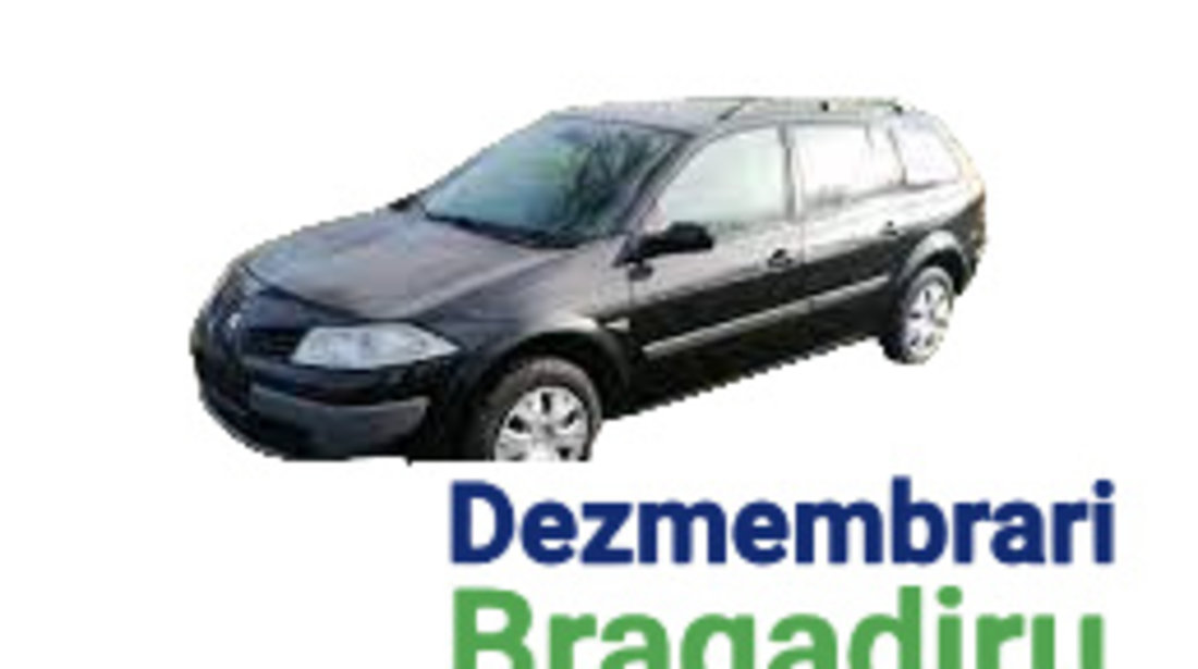 Broasca usa fata stanga Renault Megane 2 [2002 - 2006] wagon 1.5 dCi MT (105 hp)