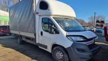 Broasca usa stanga fata Citroen Jumper 2017 Autout...