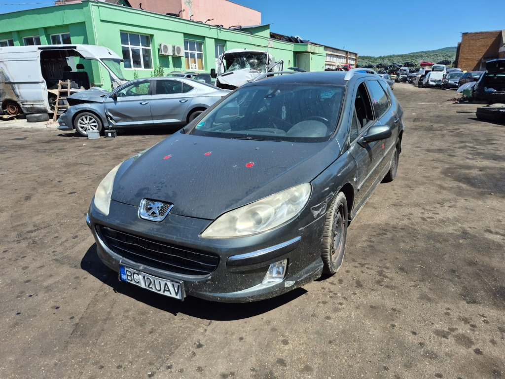 Broasca usa stanga spate Peugeot 407 2007 break 2.0 RHR