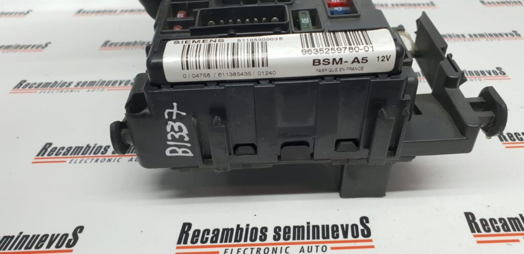 BSM Panou sigurante CITROEN C5, S110500003 E, S110500003E, 9635259780, BSMA5,