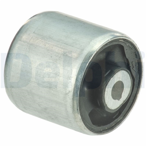 Bucsa Delphi Audi TD1633W