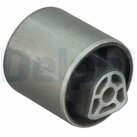 Bucsa Delphi Bmw TD1779W